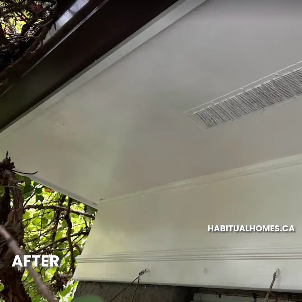 Wychwood Park Paint Restoration Breathing Life into Heritage Homes-6